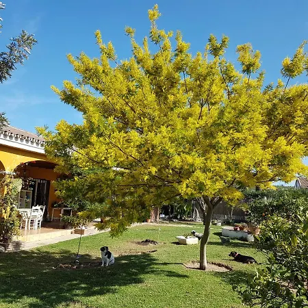 Finca La Gallina Blanca Holiday home Alhaurin el Grande